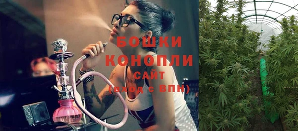 PSILOCYBIN Алзамай
