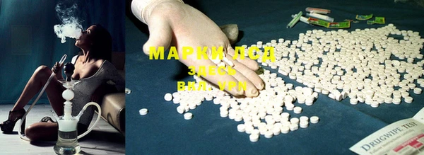 PSILOCYBIN Алзамай