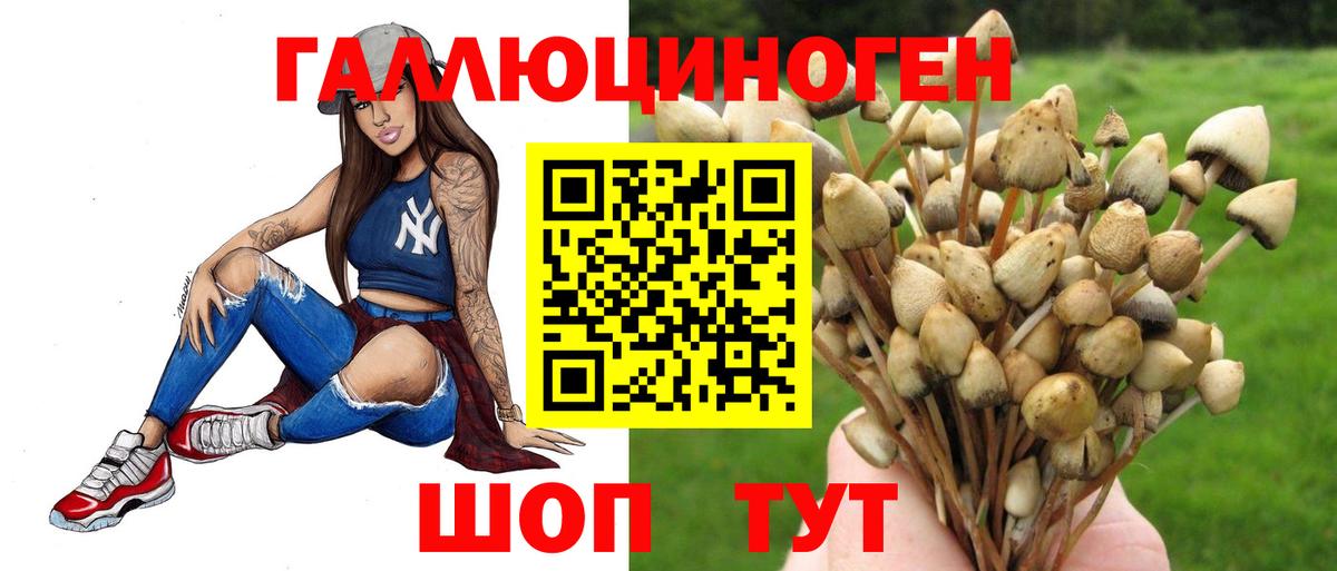 Воронеж  Псилоцибиновые грибы GOLDEN TEACHER  купить  сайты  Вход с VPN 