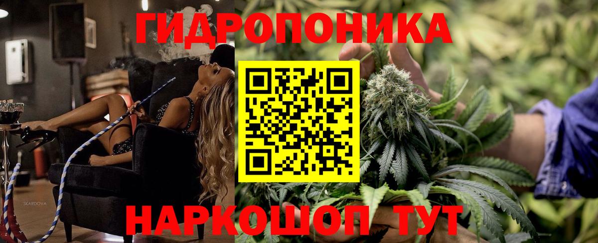 МАРИХУАНА конопля Воронеж